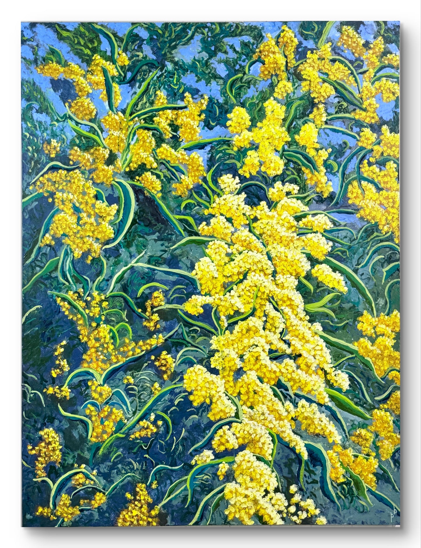 Bush Gold