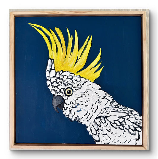 Cockatoo: Crested Rebel
