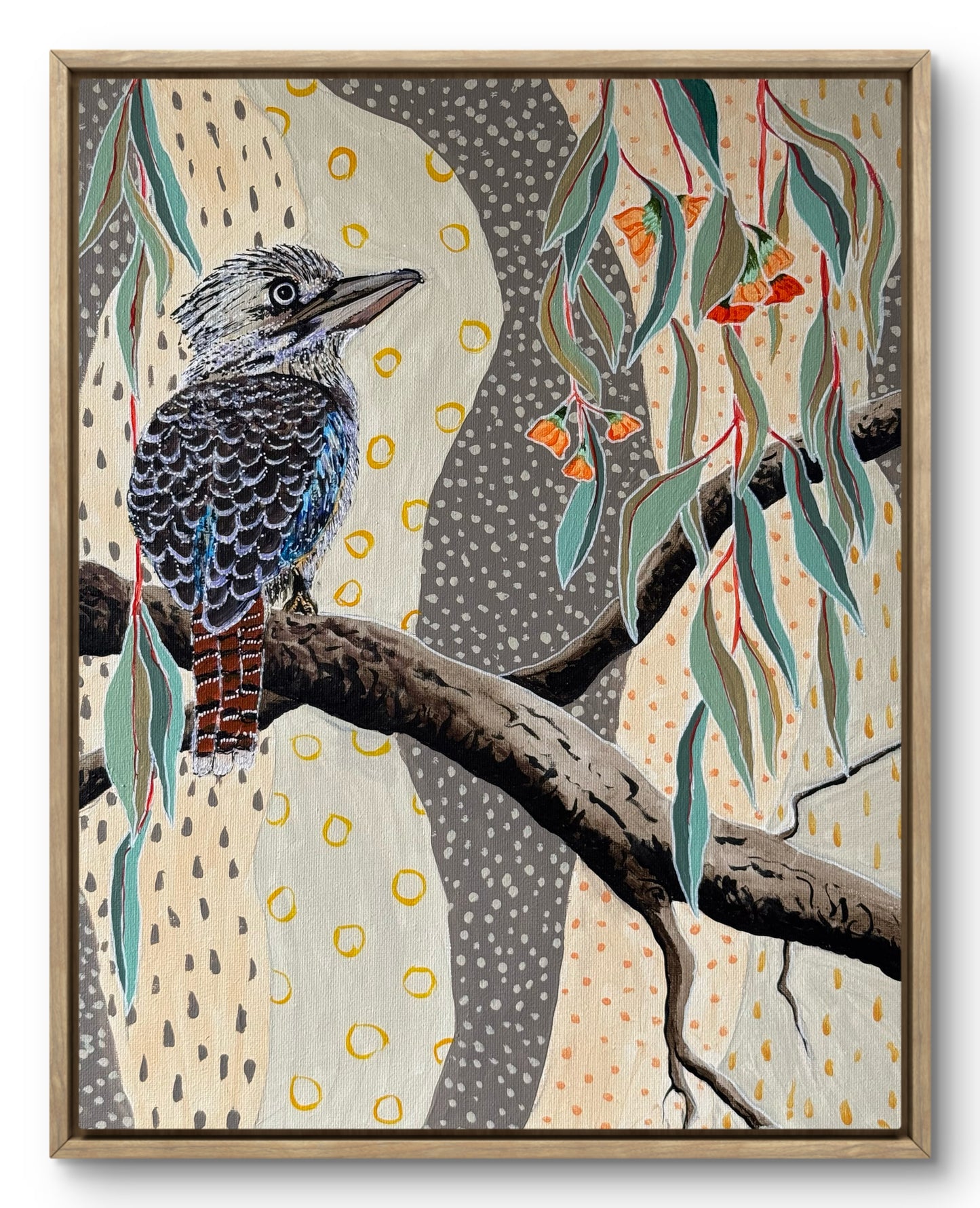 Kookaburra: The Chorister