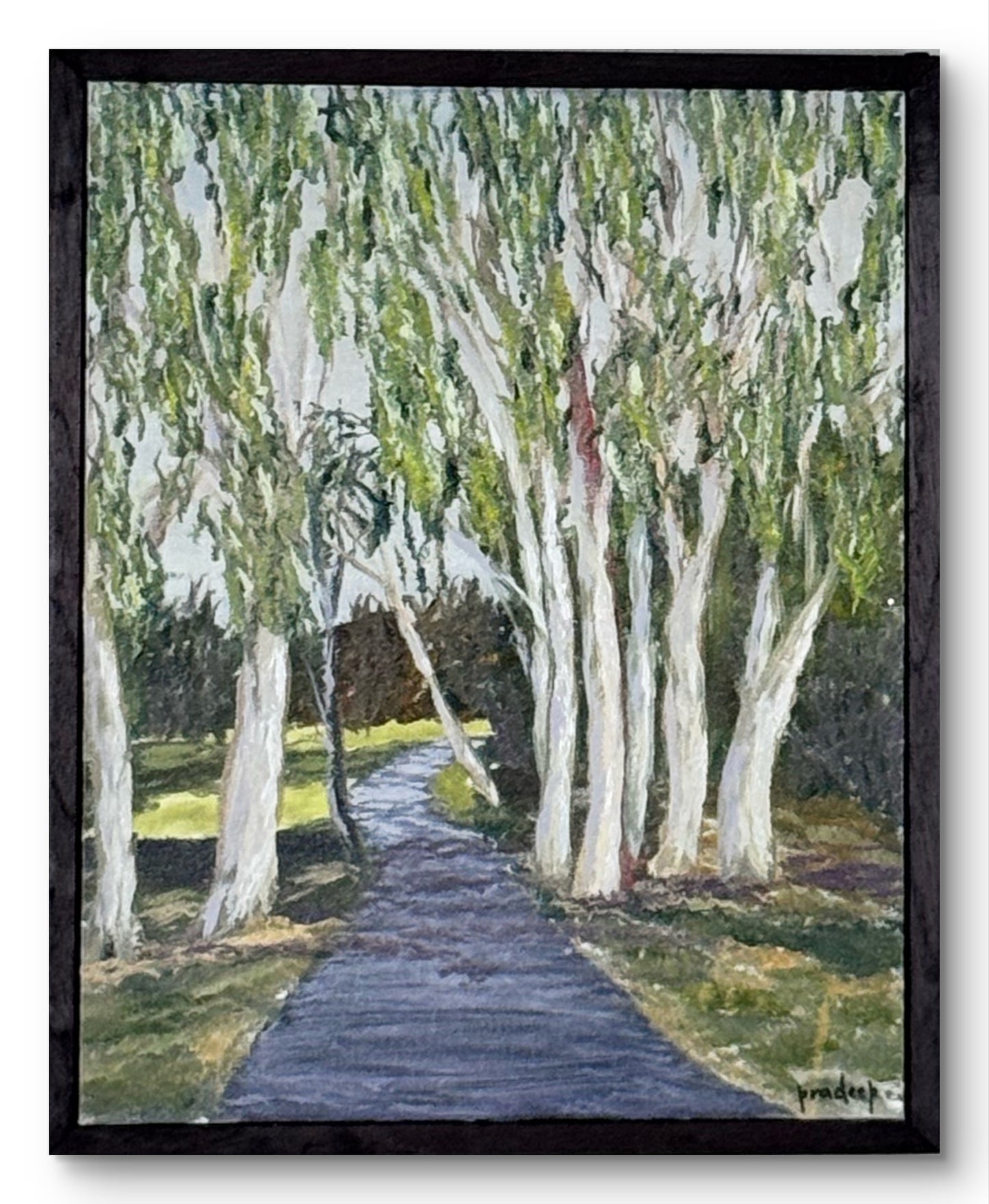 Gold Coast Gums