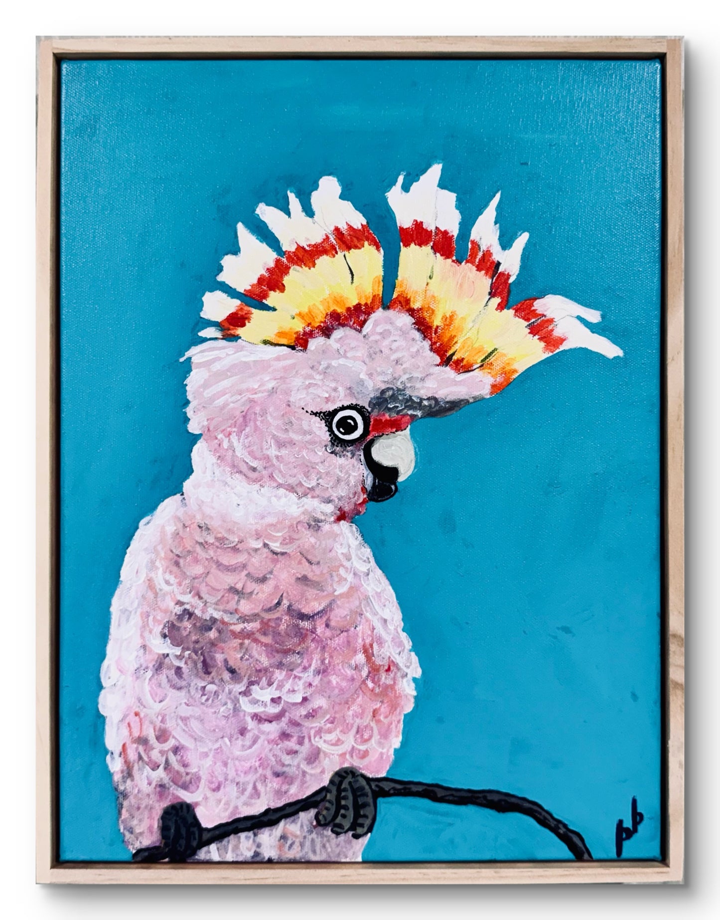 Major Mitchell Cockatoo: Major Drama