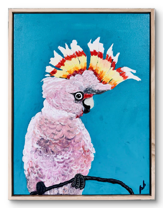 Major Mitchell Cockatoo: Major Drama