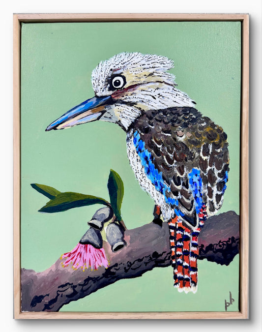 Kookaburra: Bright Morning