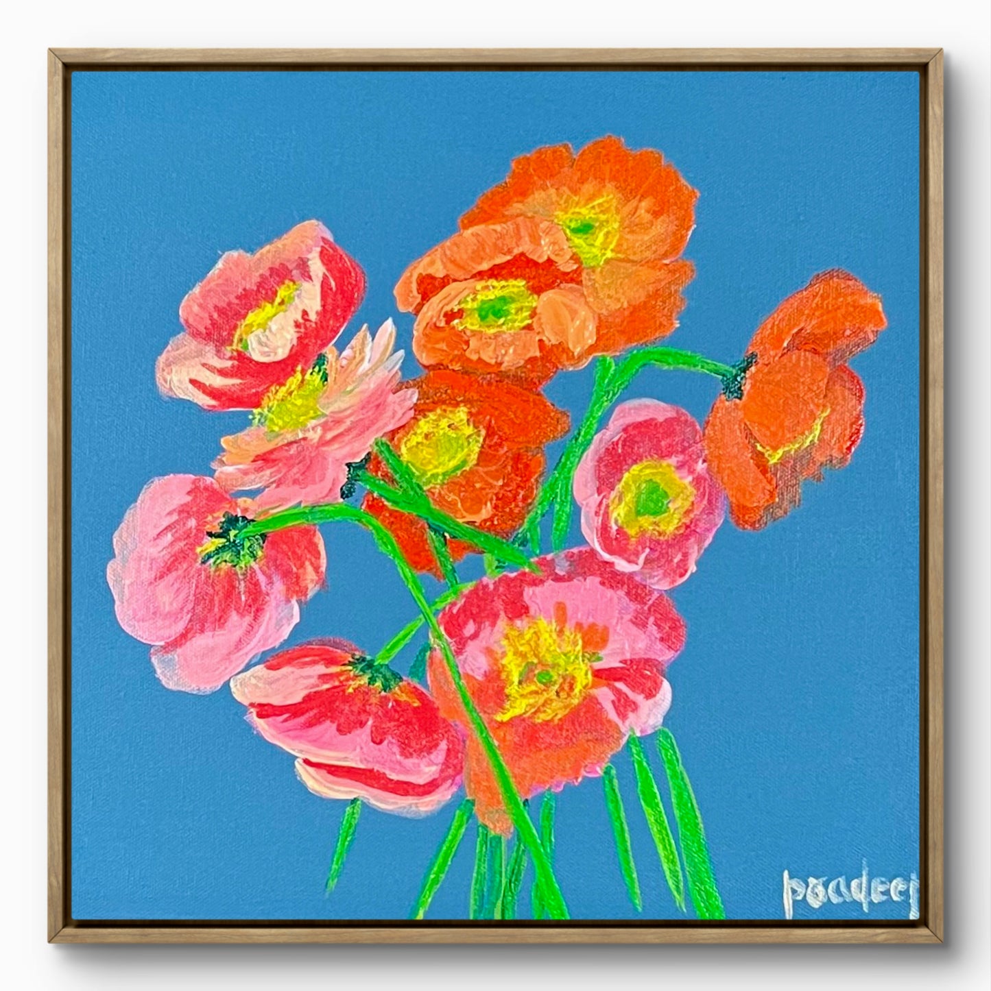 Poppy on Blue