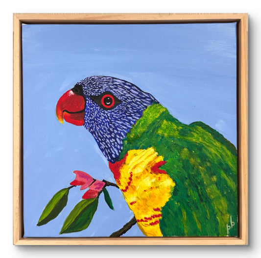 Lorikeet: Rainbow Rascal