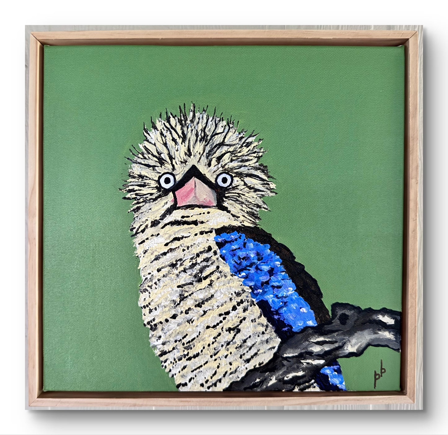 Kookaburra: Bad Morning