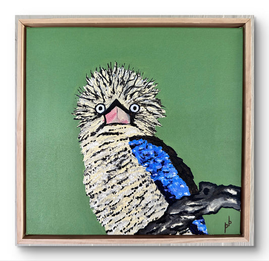Kookaburra: Bad Morning