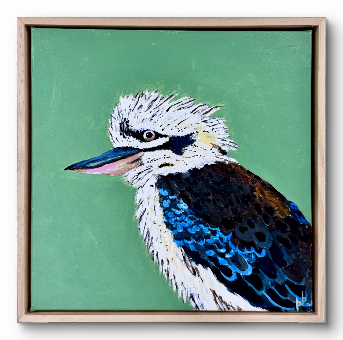 Kookaburra: Good Morning